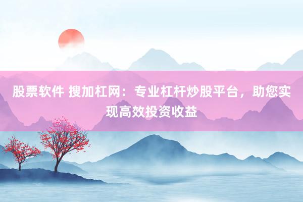 股票软件 搜加杠网：专业杠杆炒股平台，助您实现高效投资收益