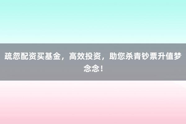 疏忽配资买基金，高效投资，助您杀青钞票升值梦念念！