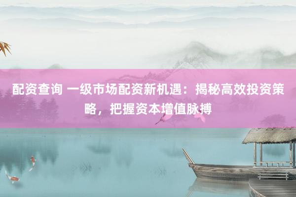 配资查询 一级市场配资新机遇：揭秘高效投资策略，把握资本增值脉搏